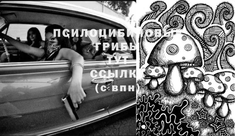 Галлюциногенные грибы Magic Shrooms  Микунь 